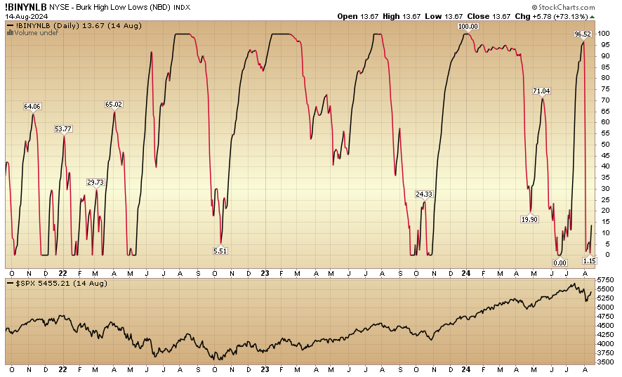 Indicator of the Day (video): Burk High Low Lows