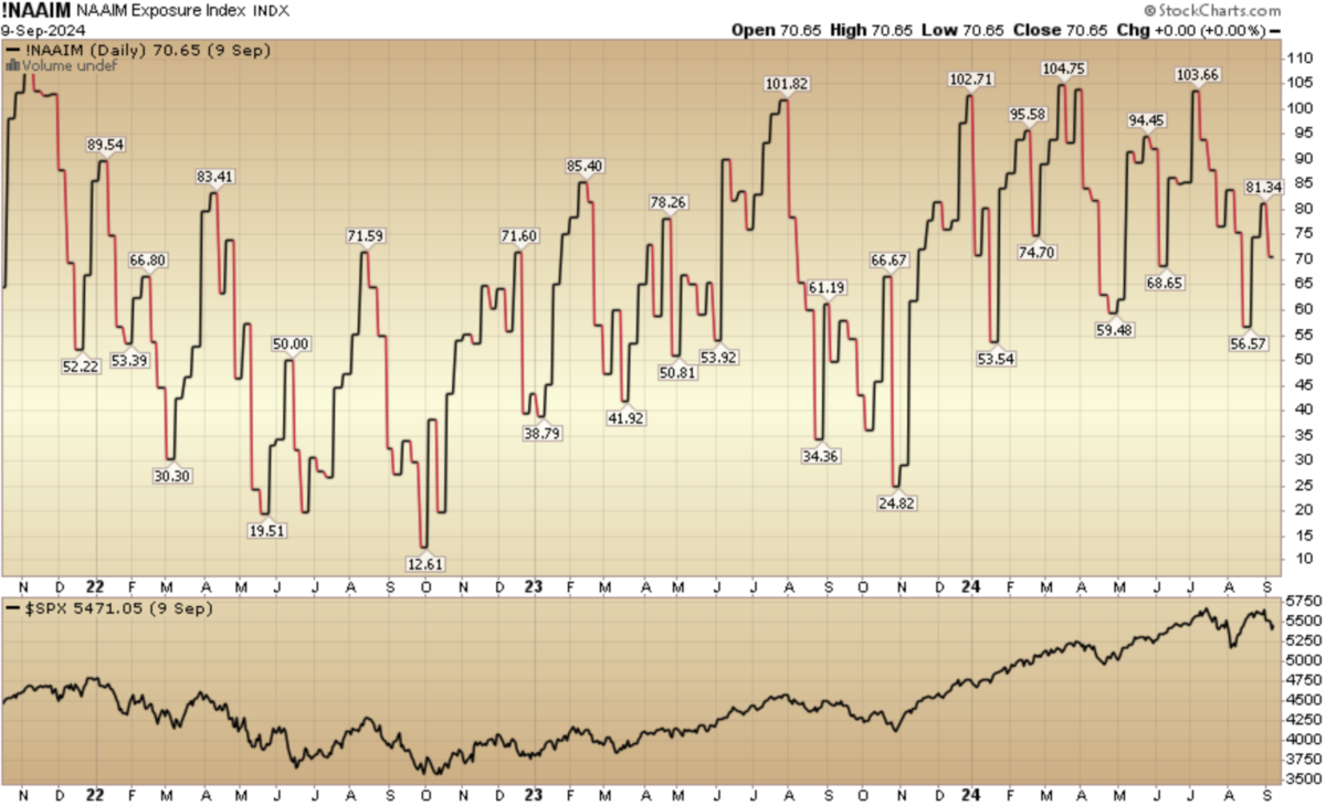 Indicator of the Day (video): NAAIM Equity Exposure Index