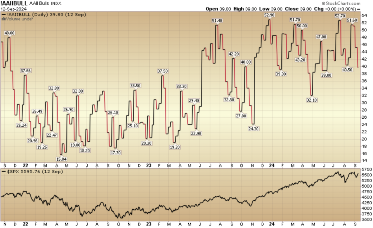 Indicator of the Day (video): AAII Bullish Percent