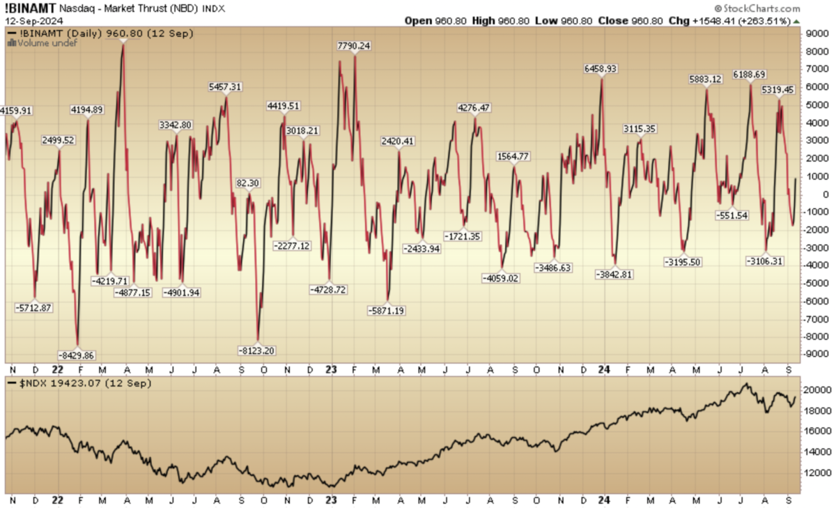 Indicator of the Day (video): Nasdaq Market Thrust