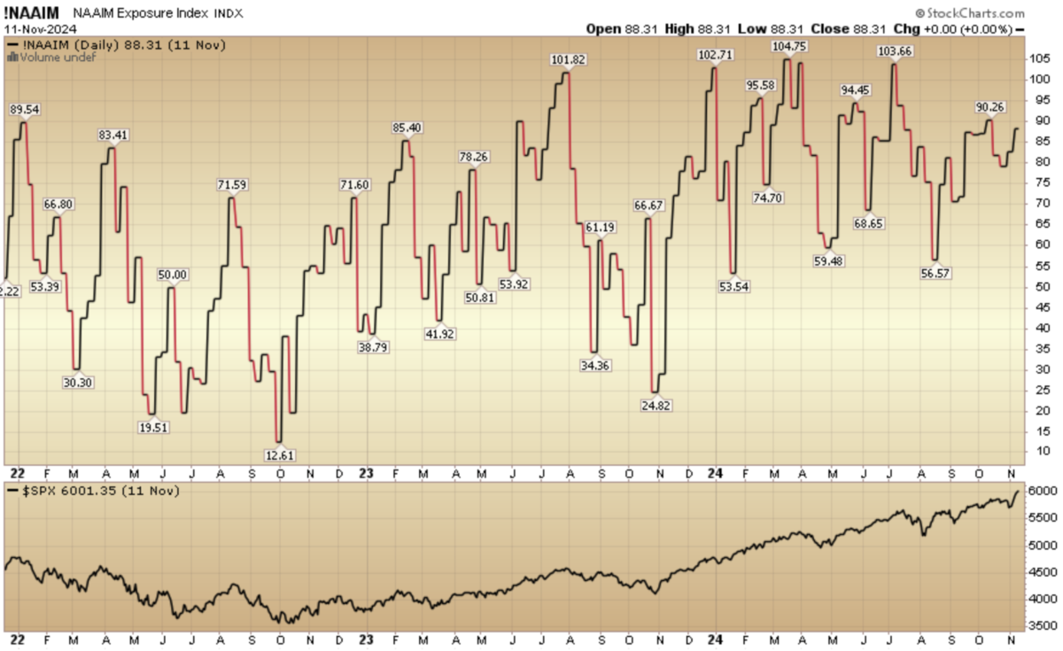 Indicator of the Day (video): NAAIM Equity Exposure Index