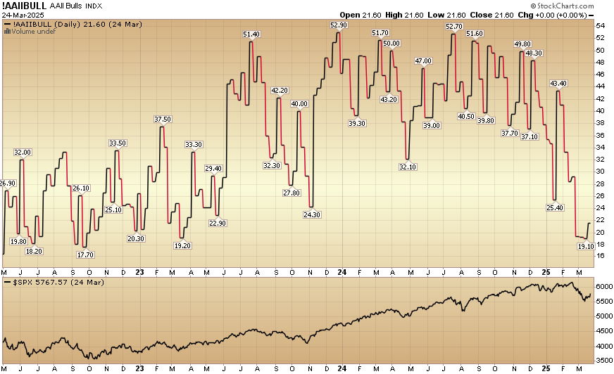 Indicator of the Day (video): AAII Bullish Percent